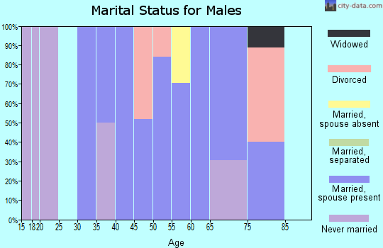 Zip code 25063 marital status for males