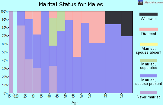 Zip code 25070 marital status for males
