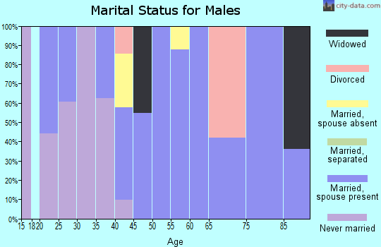 Zip code 25082 marital status for males