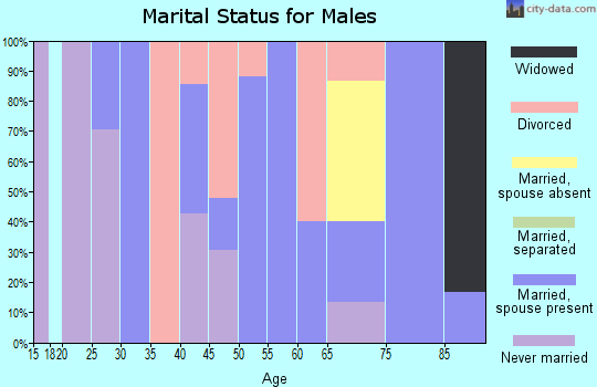 Zip code 25102 marital status for males