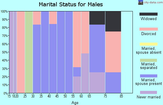 Zip code 25106 marital status for males