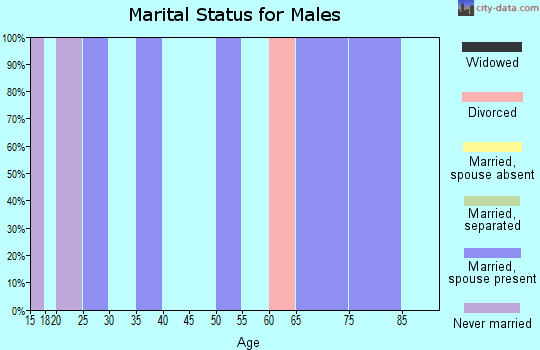 Zip code 25107 marital status for males