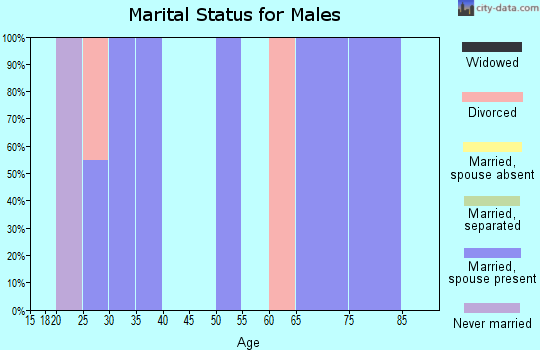 Zip code 25110 marital status for males