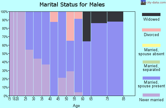 Zip code 25123 marital status for males