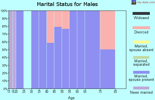 Zip code 25124 marital status for males