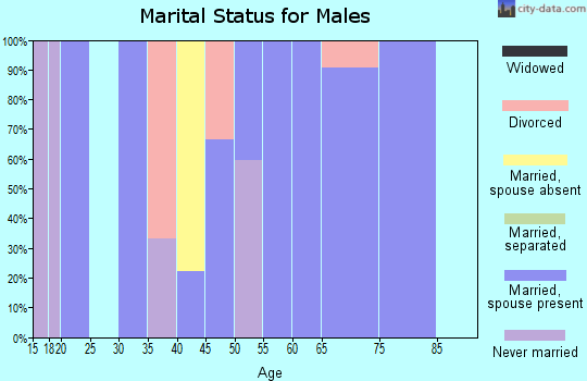 Zip code 25125 marital status for males