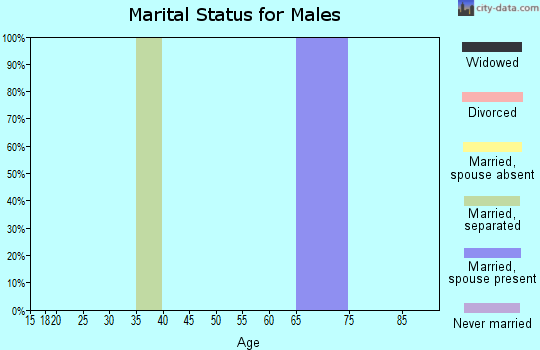 Zip code 25126 marital status for males