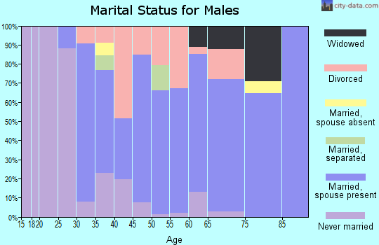 Zip code 25130 marital status for males