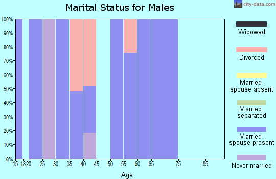 Zip code 25133 marital status for males