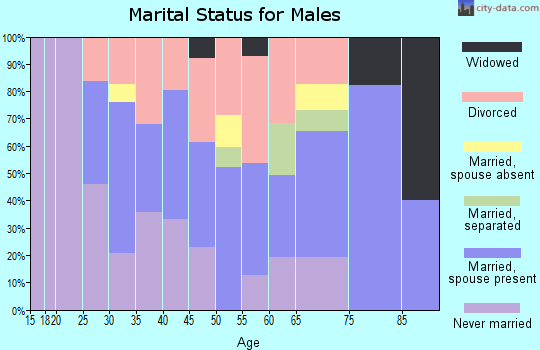 Zip code 25136 marital status for males