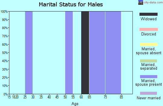 Zip code 25139 marital status for males