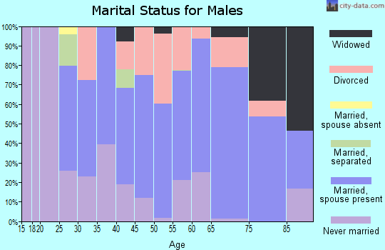 Zip code 25143 marital status for males