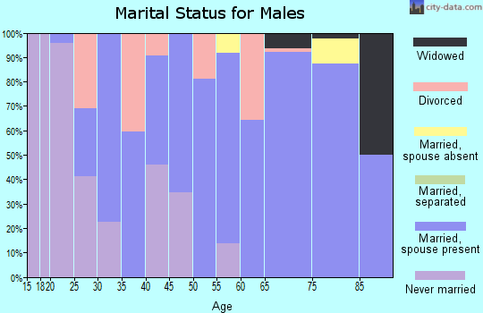 Zip code 25159 marital status for males