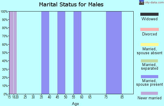 Zip code 25160 marital status for males