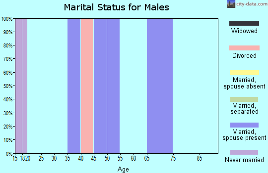 Zip code 25161 marital status for males