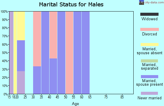 Zip code 25169 marital status for males