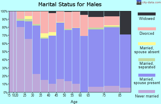 Zip code 25177 marital status for males