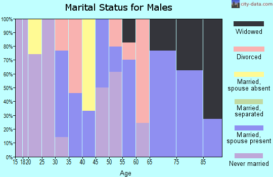 Zip code 25186 marital status for males