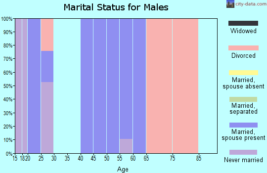 Zip code 25187 marital status for males