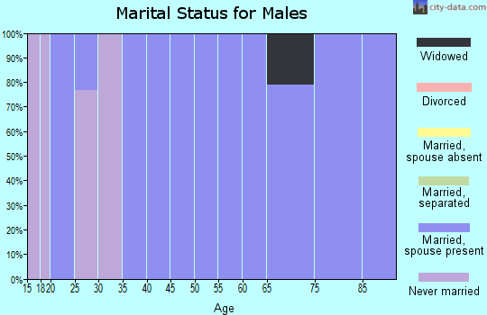 Zip code 25202 marital status for males