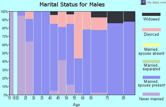 Zip code 25213 marital status for males