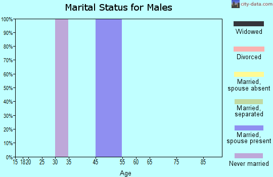 Zip code 25231 marital status for males
