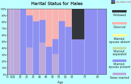 Zip code 25239 marital status for males