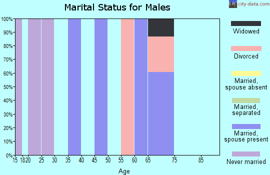 Zip code 25245 marital status for males