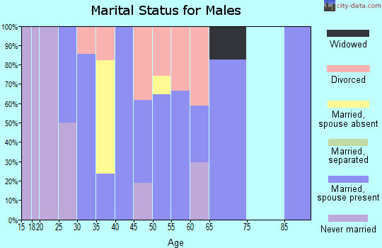 Zip code 25247 marital status for males