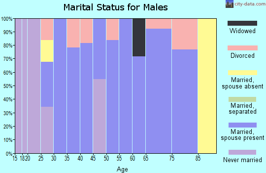 Zip code 25248 marital status for males