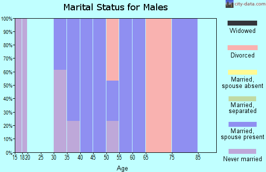 Zip code 25259 marital status for males