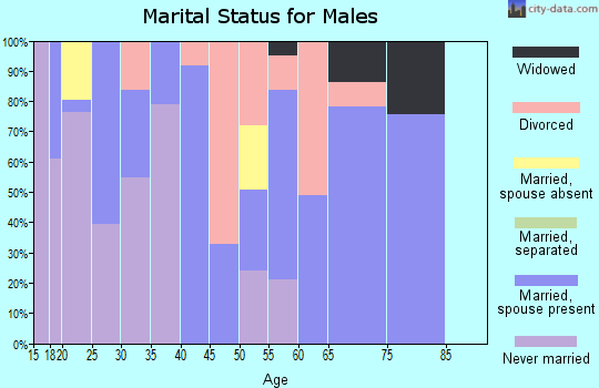 Zip code 25260 marital status for males