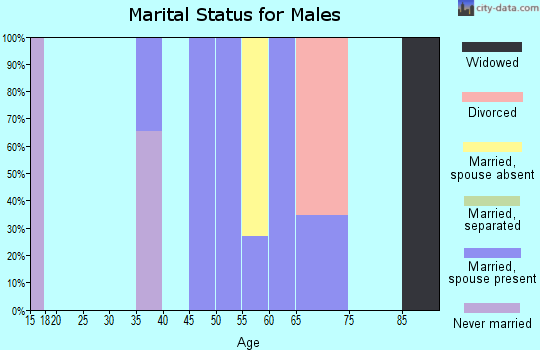 Zip code 25261 marital status for males