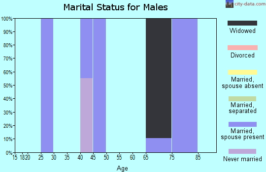 Zip code 25264 marital status for males
