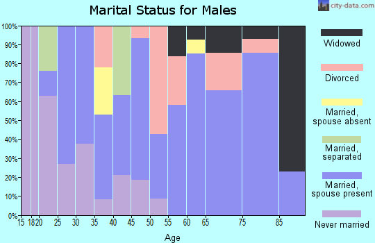 Zip code 25265 marital status for males