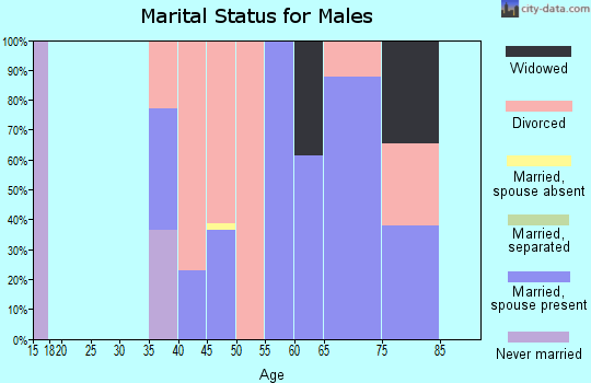 Zip code 25268 marital status for males