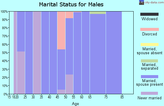 Zip code 25270 marital status for males