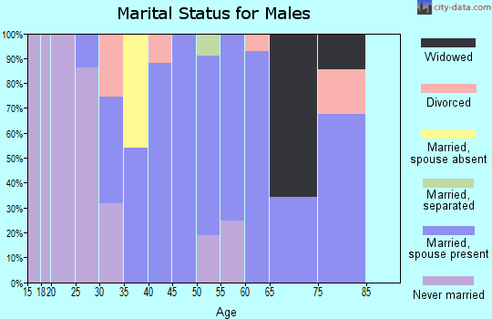 Zip code 25275 marital status for males