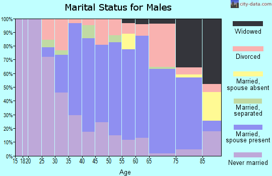 Zip code 25276 marital status for males