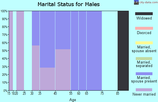 Zip code 25279 marital status for males