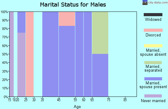 Zip code 25283 marital status for males