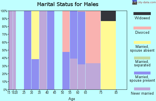Zip code 25287 marital status for males