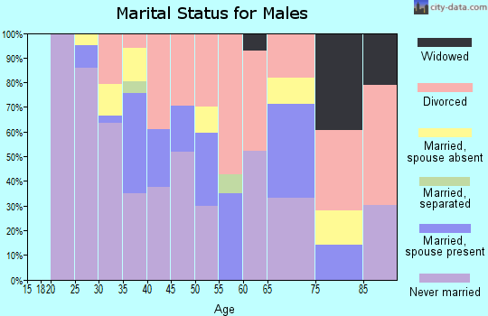Zip code 25301 marital status for males