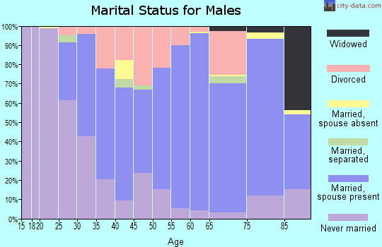 Zip code 25304 marital status for males
