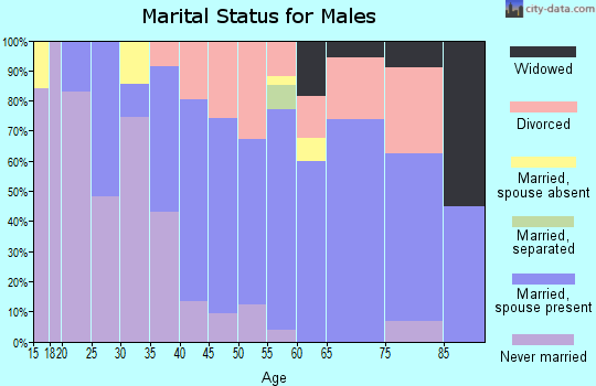 Zip code 25306 marital status for males