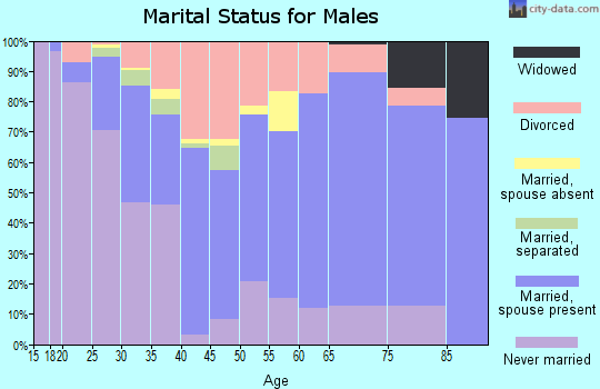 Zip code 25309 marital status for males