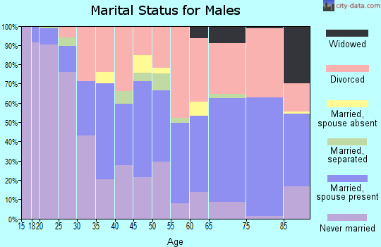 Zip code 25311 marital status for males