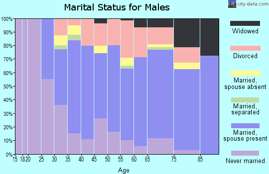 Zip code 25312 marital status for males