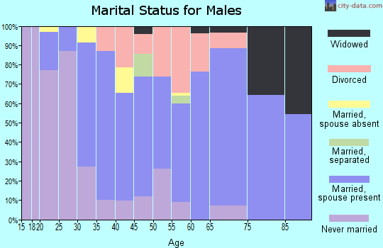 Zip code 25313 marital status for males