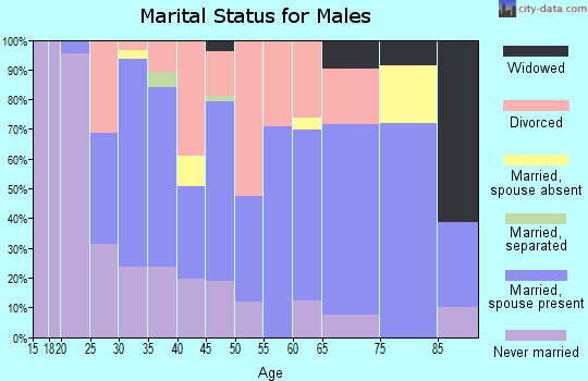 Zip code 25315 marital status for males